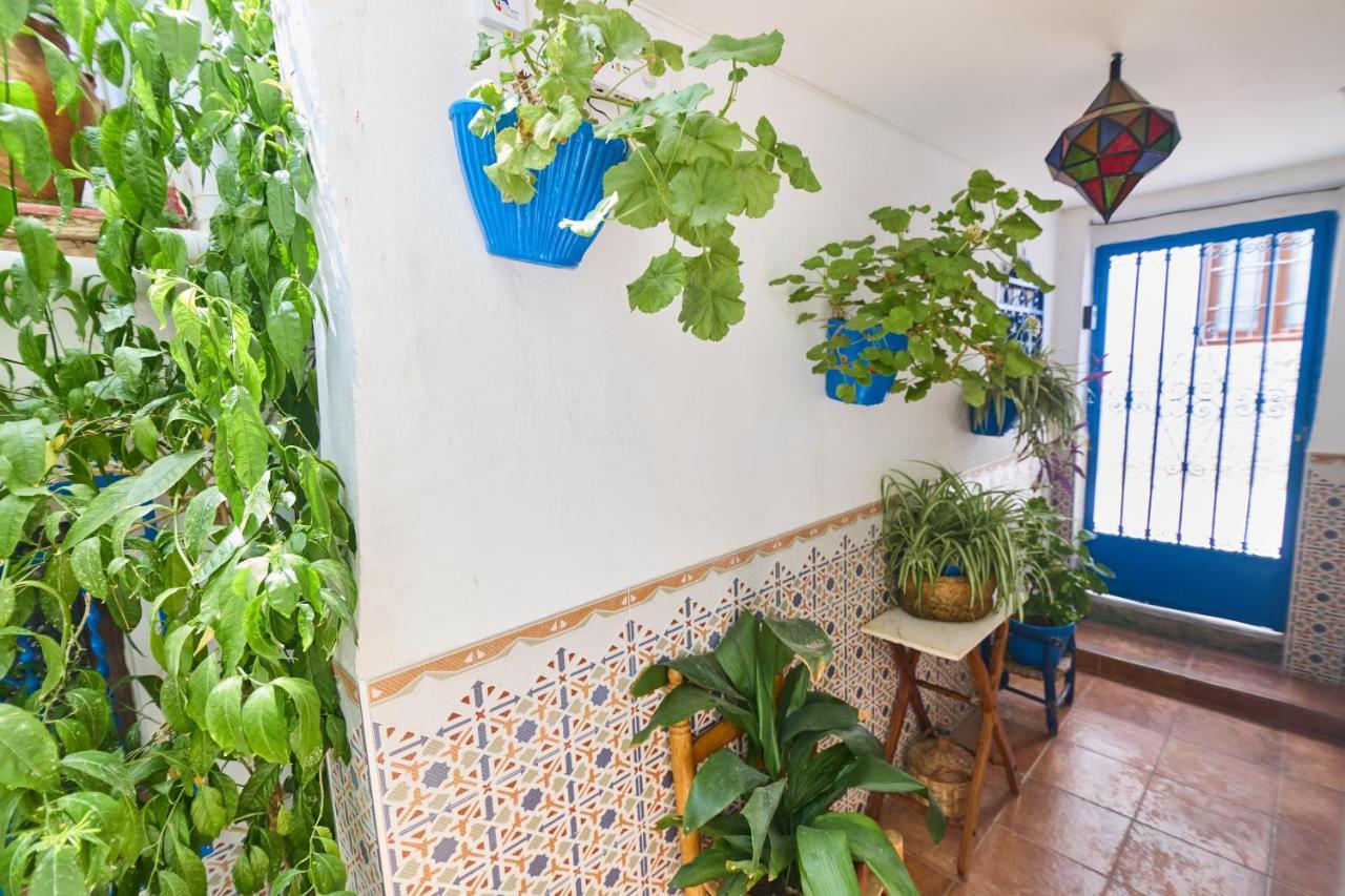 Casa El "Tablao De Las Almendras" 그라나다 외부 사진