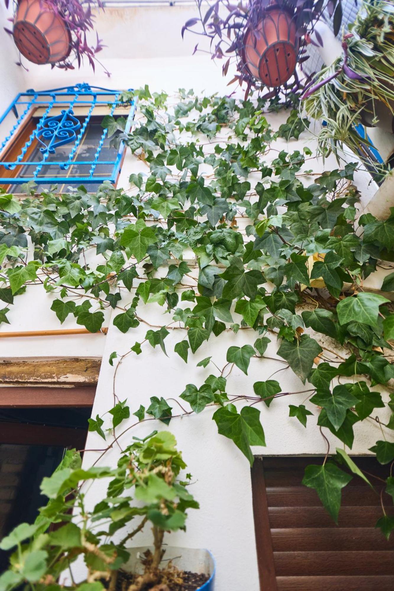 Casa El "Tablao De Las Almendras" 그라나다 외부 사진